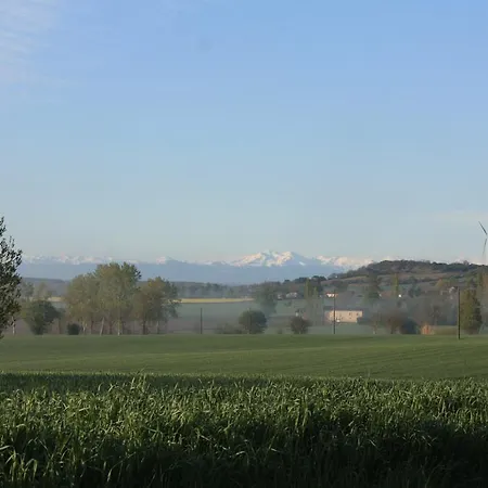 巴黎欧斯塔尔登住宿加早餐旅馆 Nogaret
